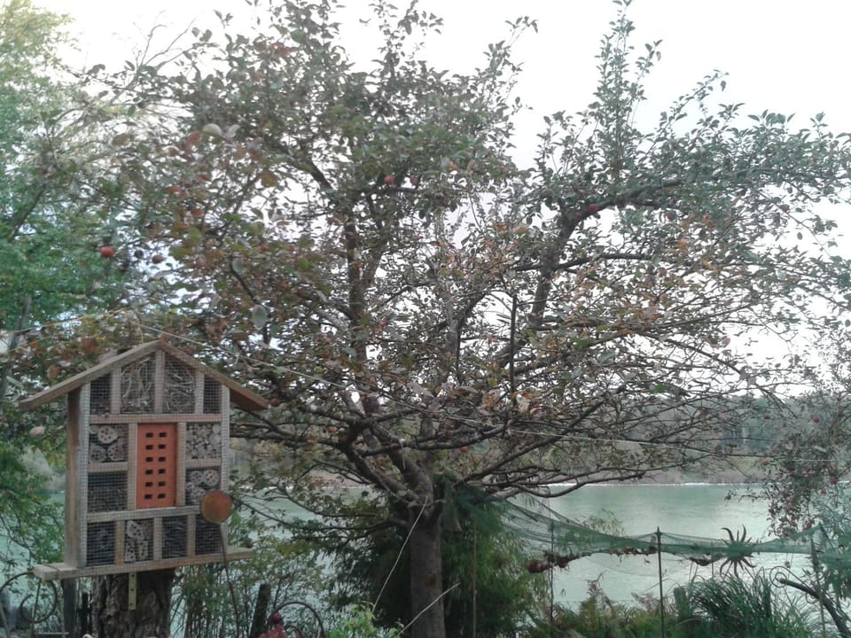 Spring, On site