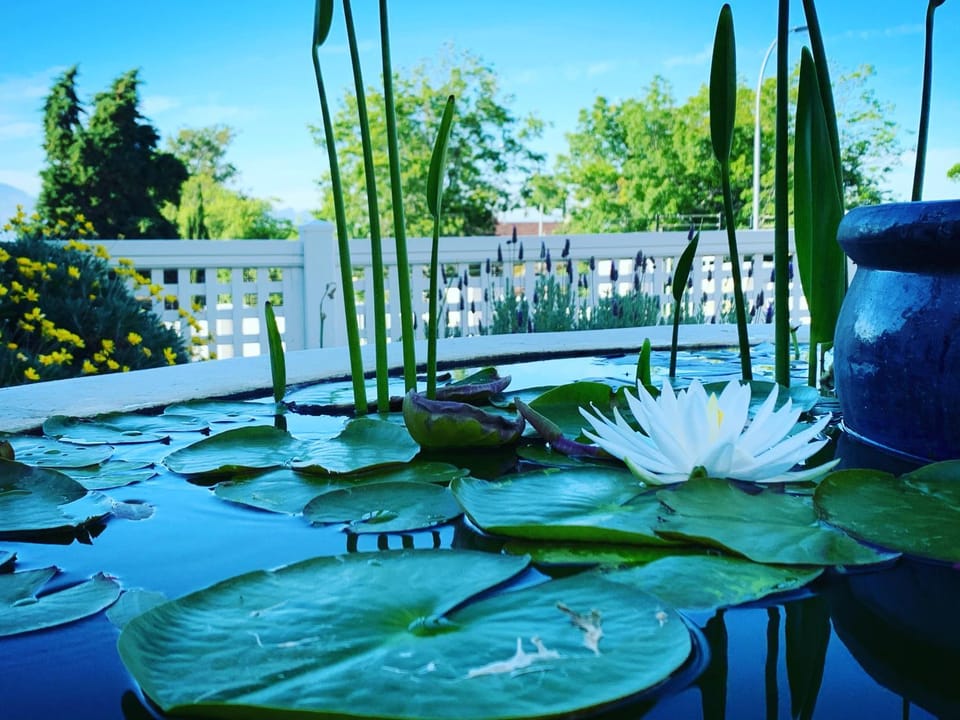 Waterstone Lodge Bed and Breakfast in Cape Town