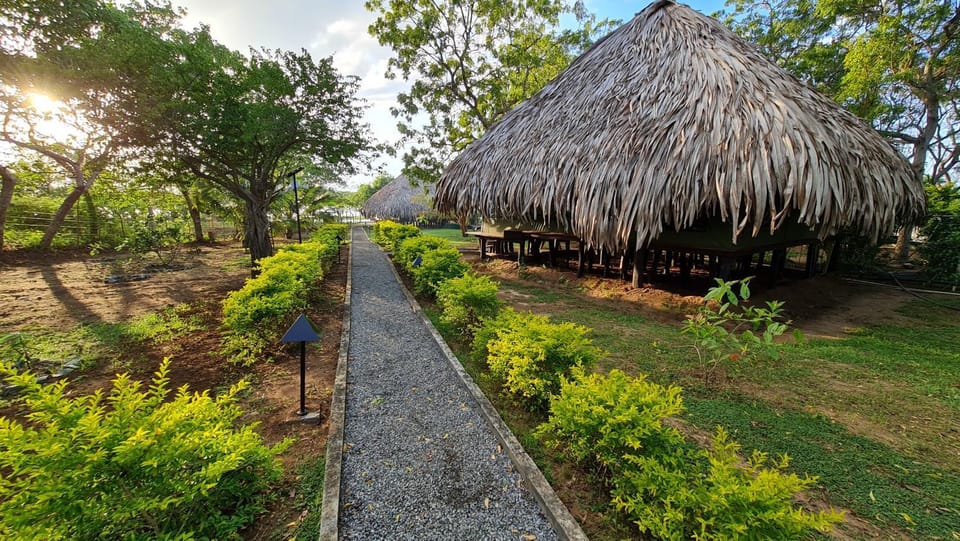 Natural landscape, Garden view