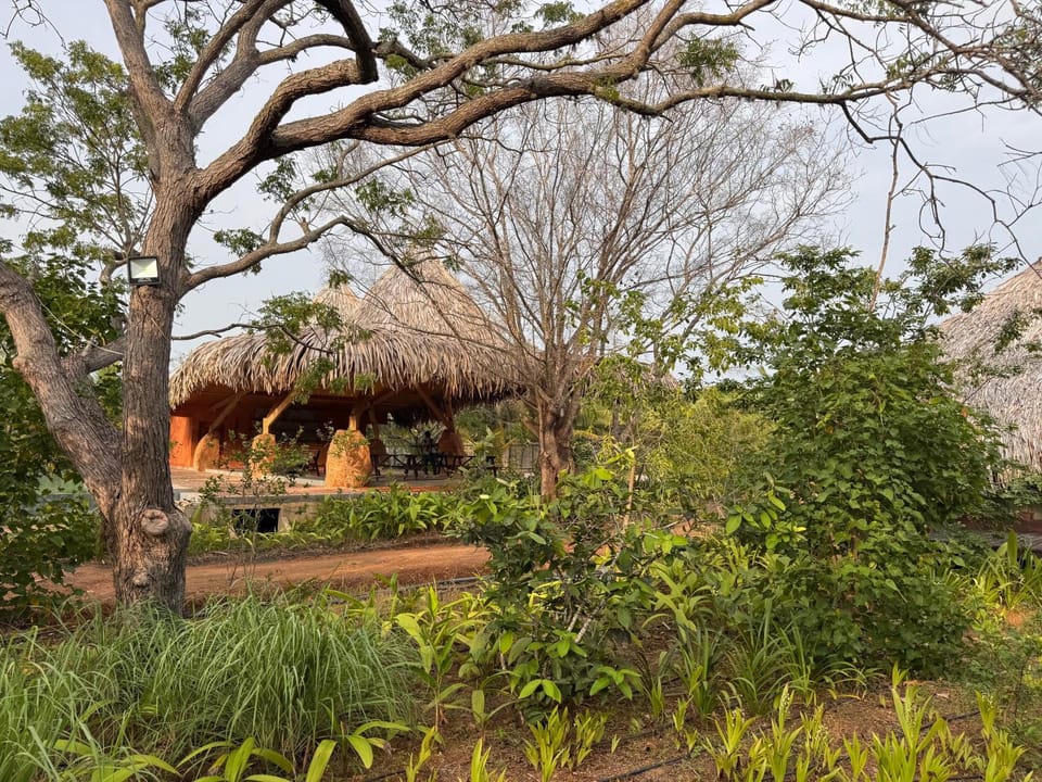 Restaurant/places to eat, Natural landscape