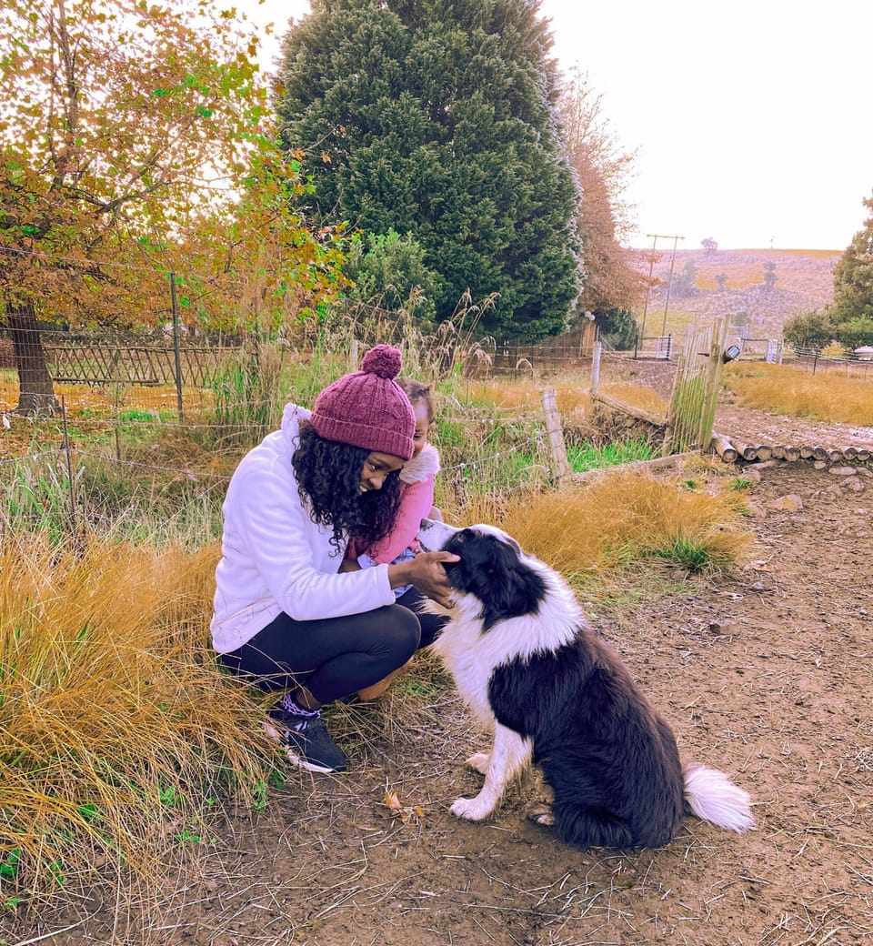 People, Autumn, Pets, children