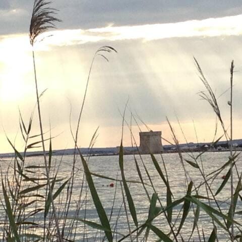 Day, Lake view