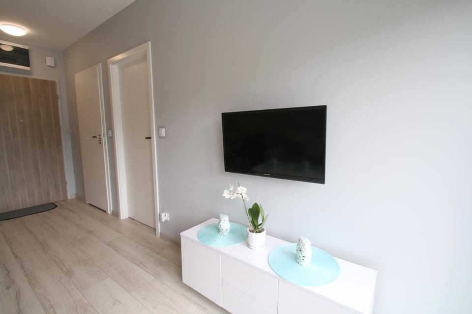 TV and multimedia, Living room, Other, Photo of the whole room, Seating area, Area and facilities