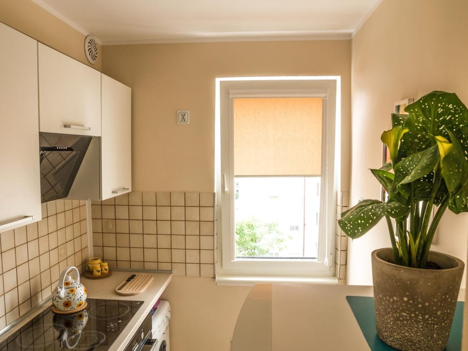 Kitchen or kitchenette, Area and facilities