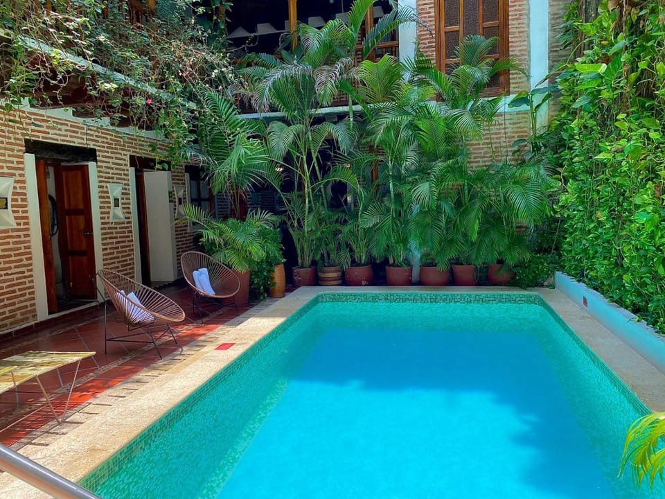 Garden, Pool view, Swimming pool