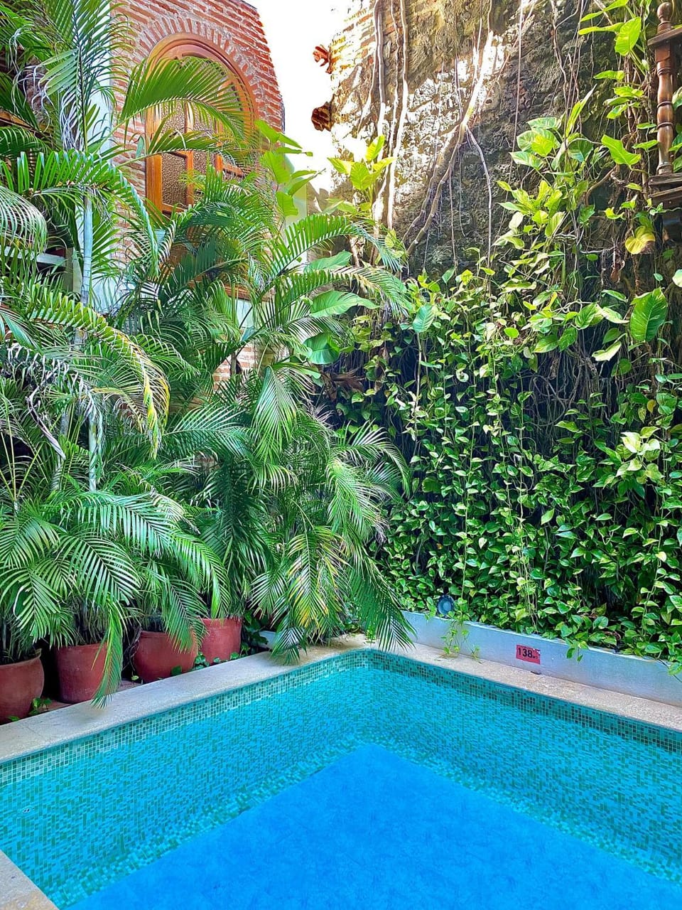 Garden, Swimming pool