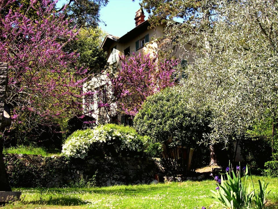Property building, Spring, Garden, Garden view