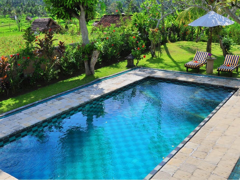 Day, Natural landscape, Garden, Swimming pool