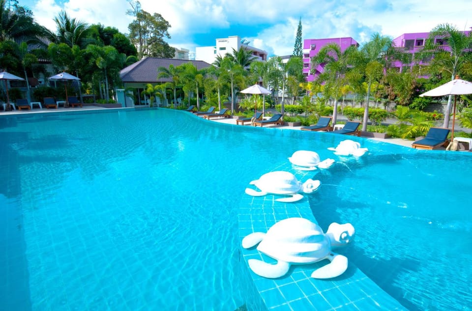 Swimming pool, Swimming pool