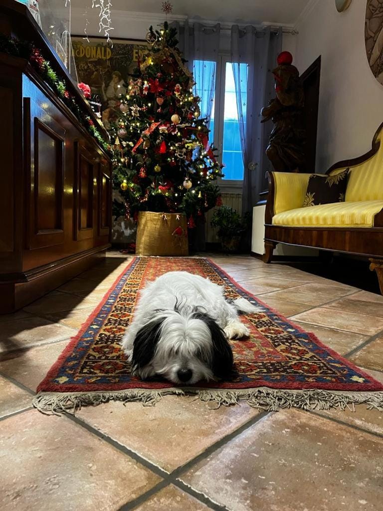 Casa per Ferie Metamorphosi Bed and Breakfast in Abruzzo