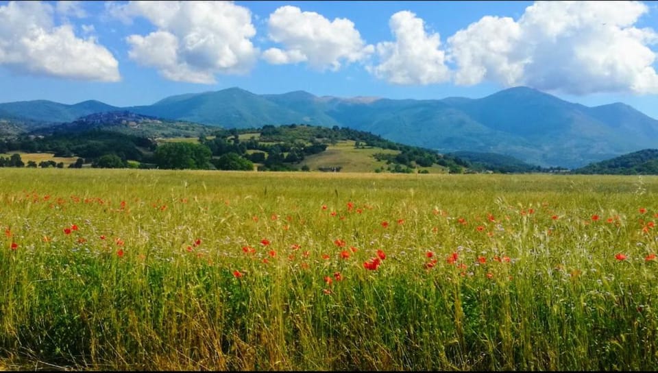 Casa per Ferie Metamorphosi Bed and Breakfast in Abruzzo