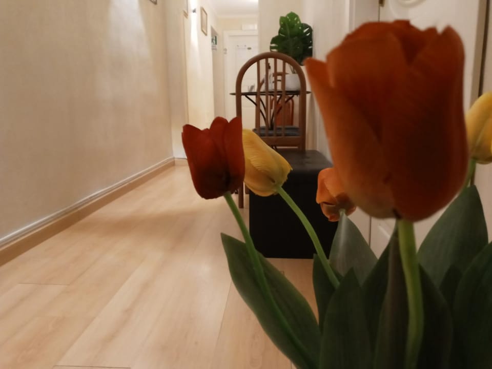 View (from property/room), Living room, Decorative detail