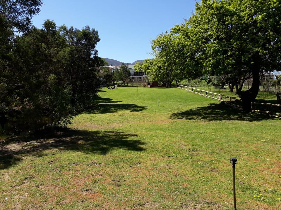 Garden, On site