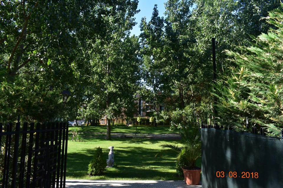 Garden, Garden view, Street view, Family