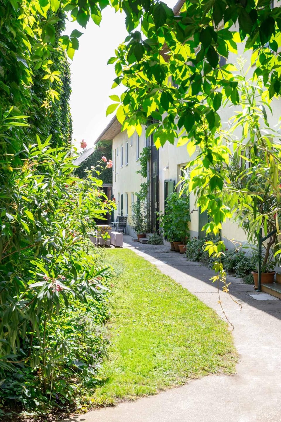 Property building, Patio, Patio, Inner courtyard view