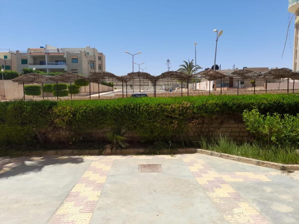 Day, Garden view