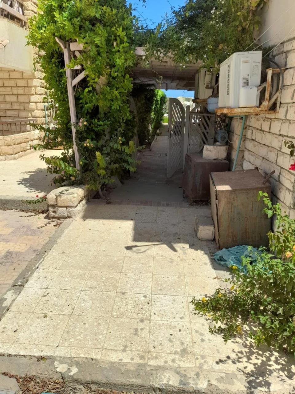 Day, Garden
