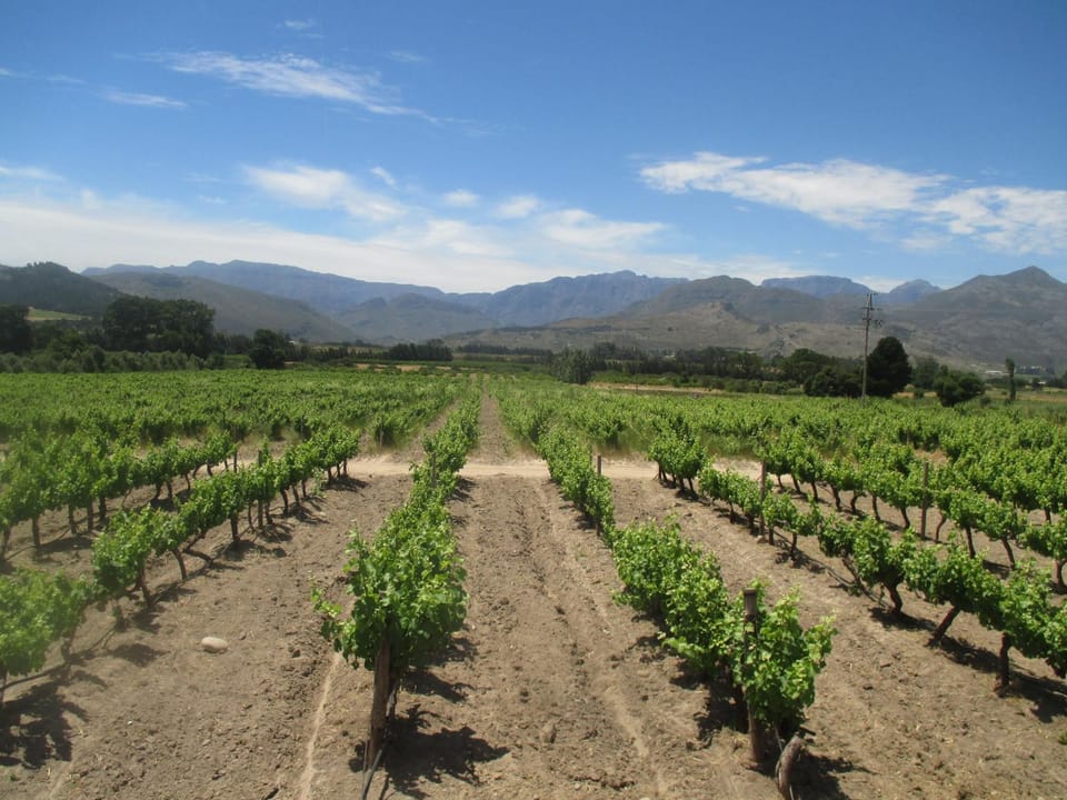 Natural landscape, Mountain view