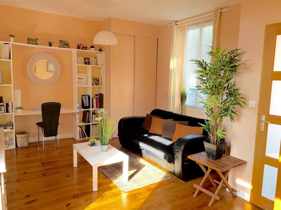 Library, TV and multimedia