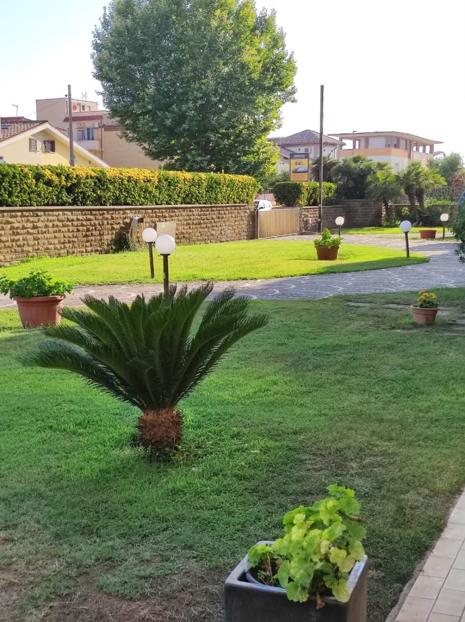 Garden