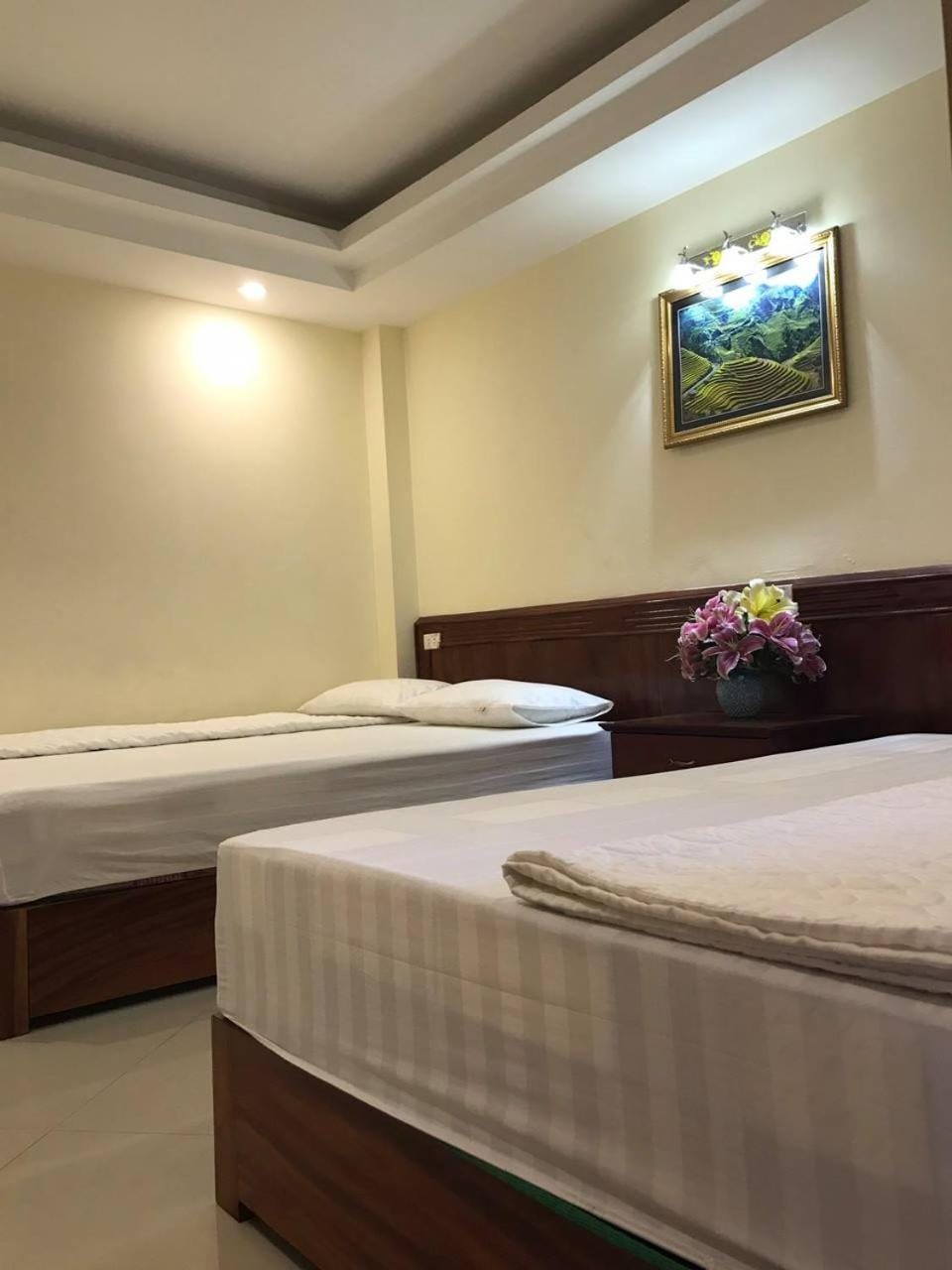 Camellia Guest House Bed and Breakfast in Laos