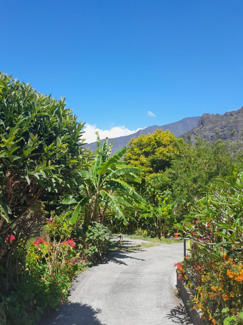 Natural landscape