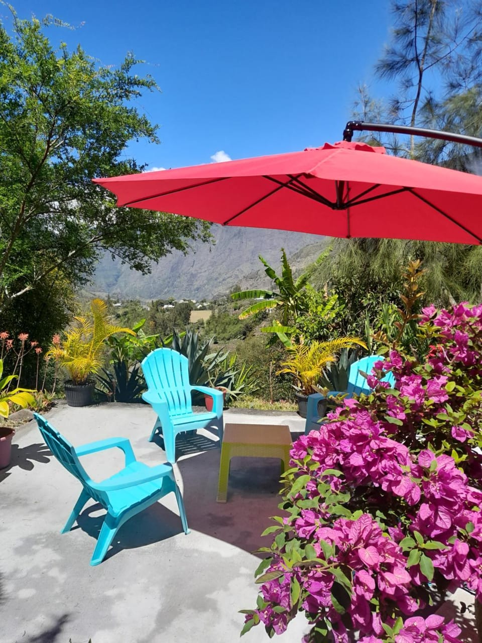 Natural landscape, Garden, sunbed