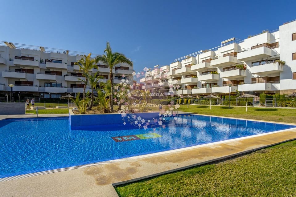 Property building, Garden, Swimming pool, sunbed