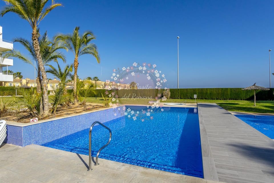 Garden, Swimming pool, sunbed