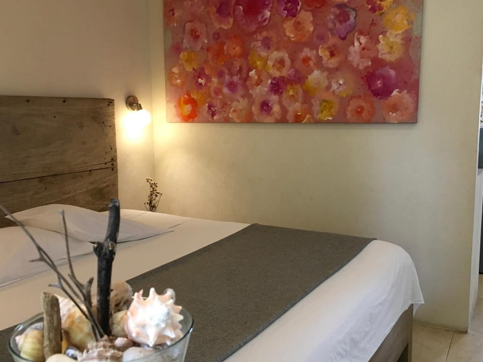 City Center Studyo "Casa Natural" House in State of Quintana Roo