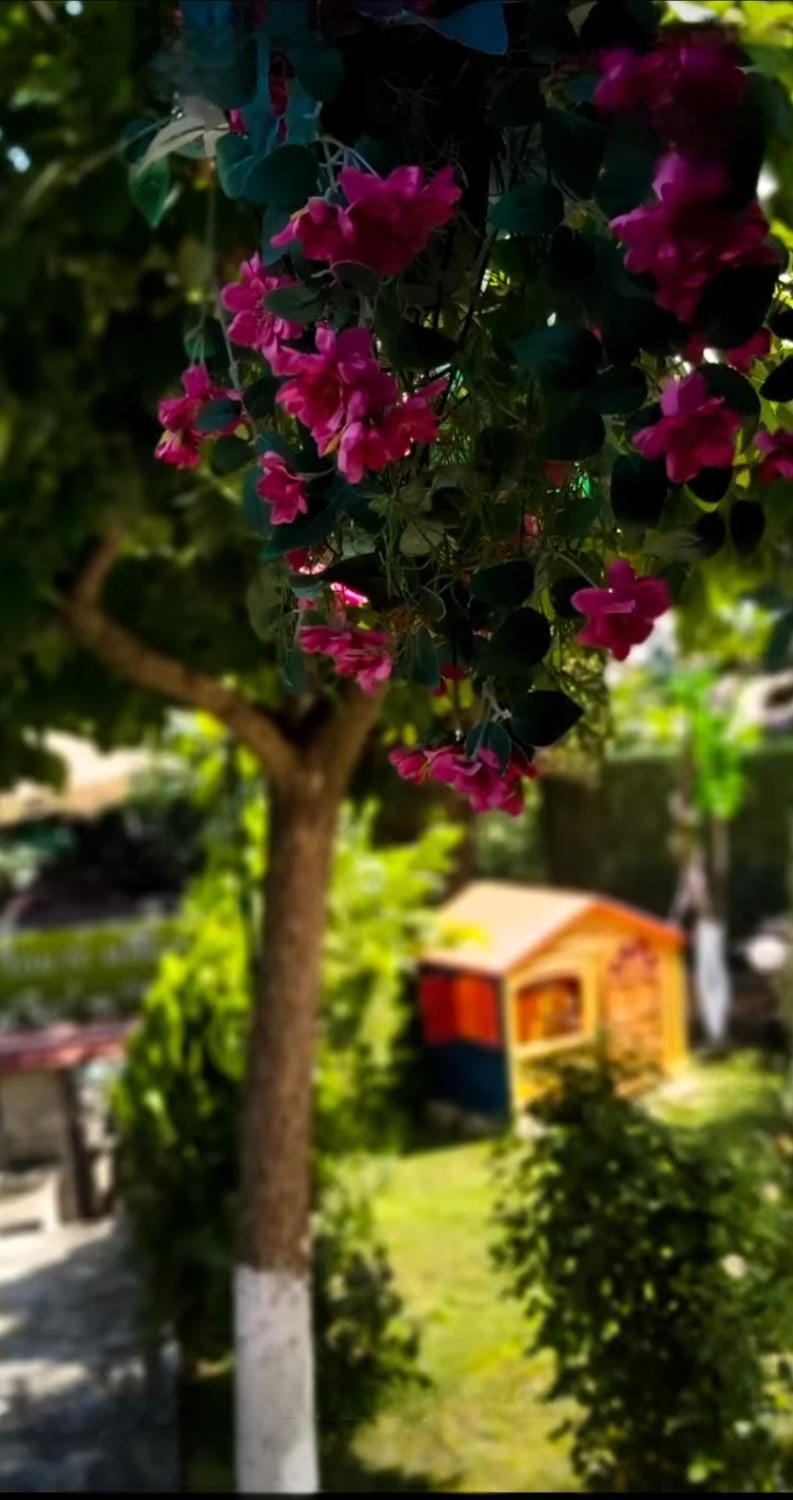 Guest House Simon Green Bed and Breakfast in Dobrich Province, Bulgaria