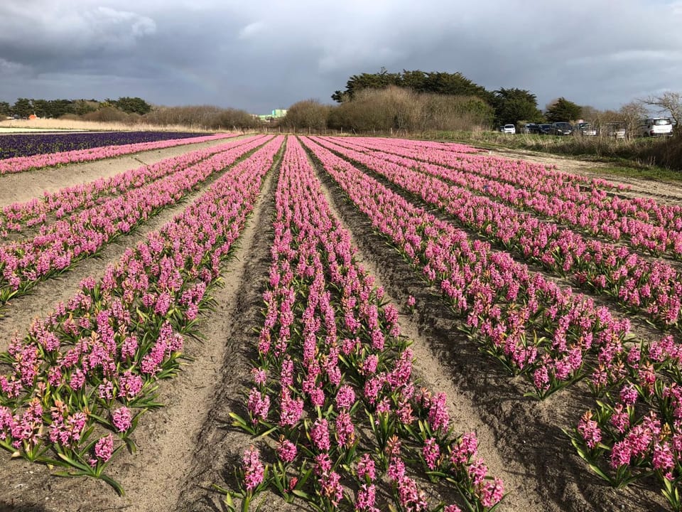 Nearby landmark, Other