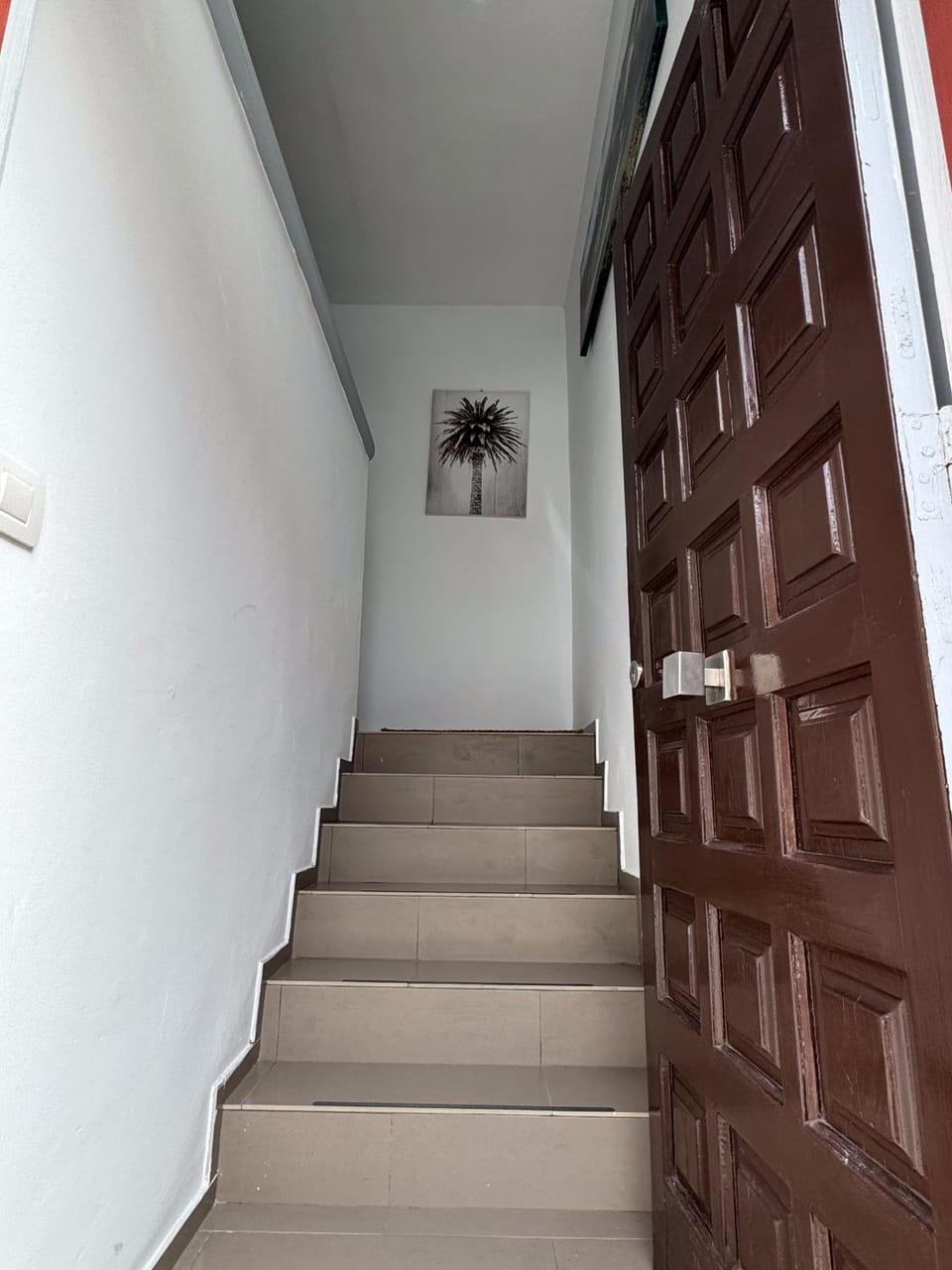 Phoenix Canariensis Apartment in Orotava Valley