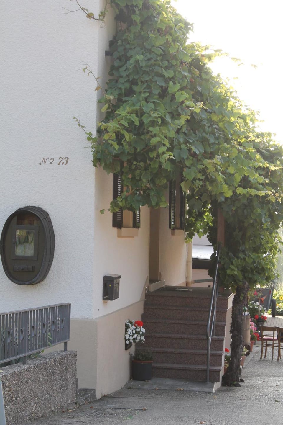 No. 73 - Idylle im Rebenmeer Apartment in Rhineland-Palatinate
