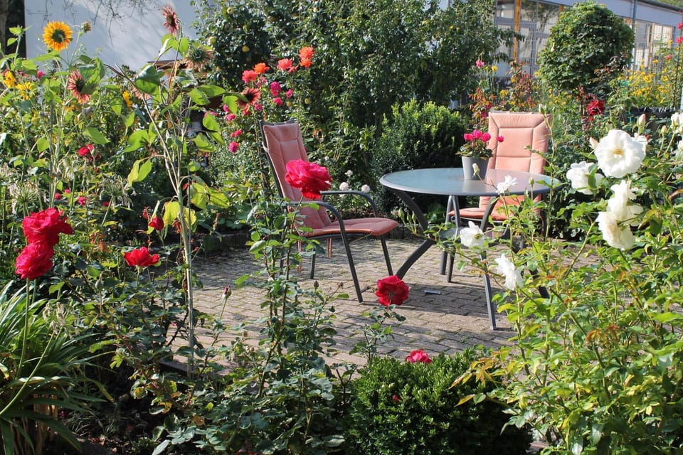 No. 73 - Idylle im Rebenmeer Apartment in Rhineland-Palatinate