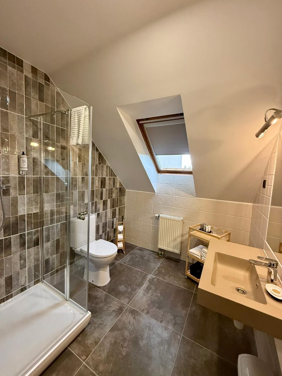 Shower, Toilet, Bathroom