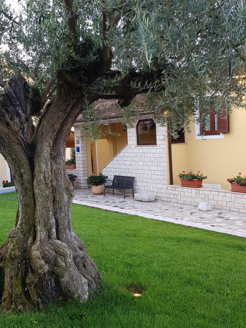 Apartments Magnolia Apartment in Istria County