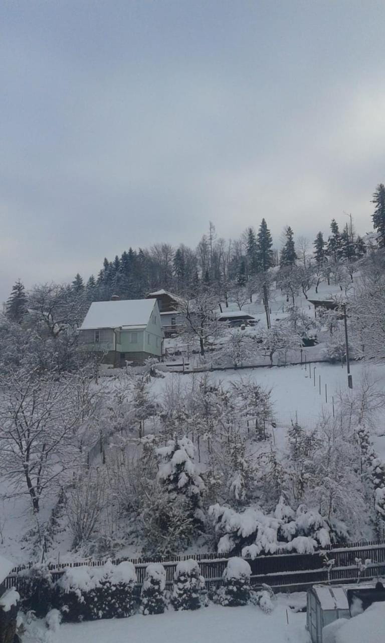 Natural landscape, Winter
