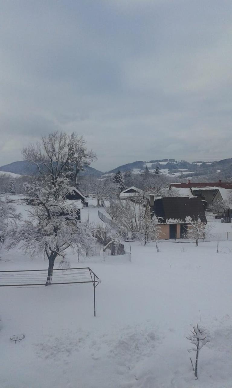 Winter, Garden view