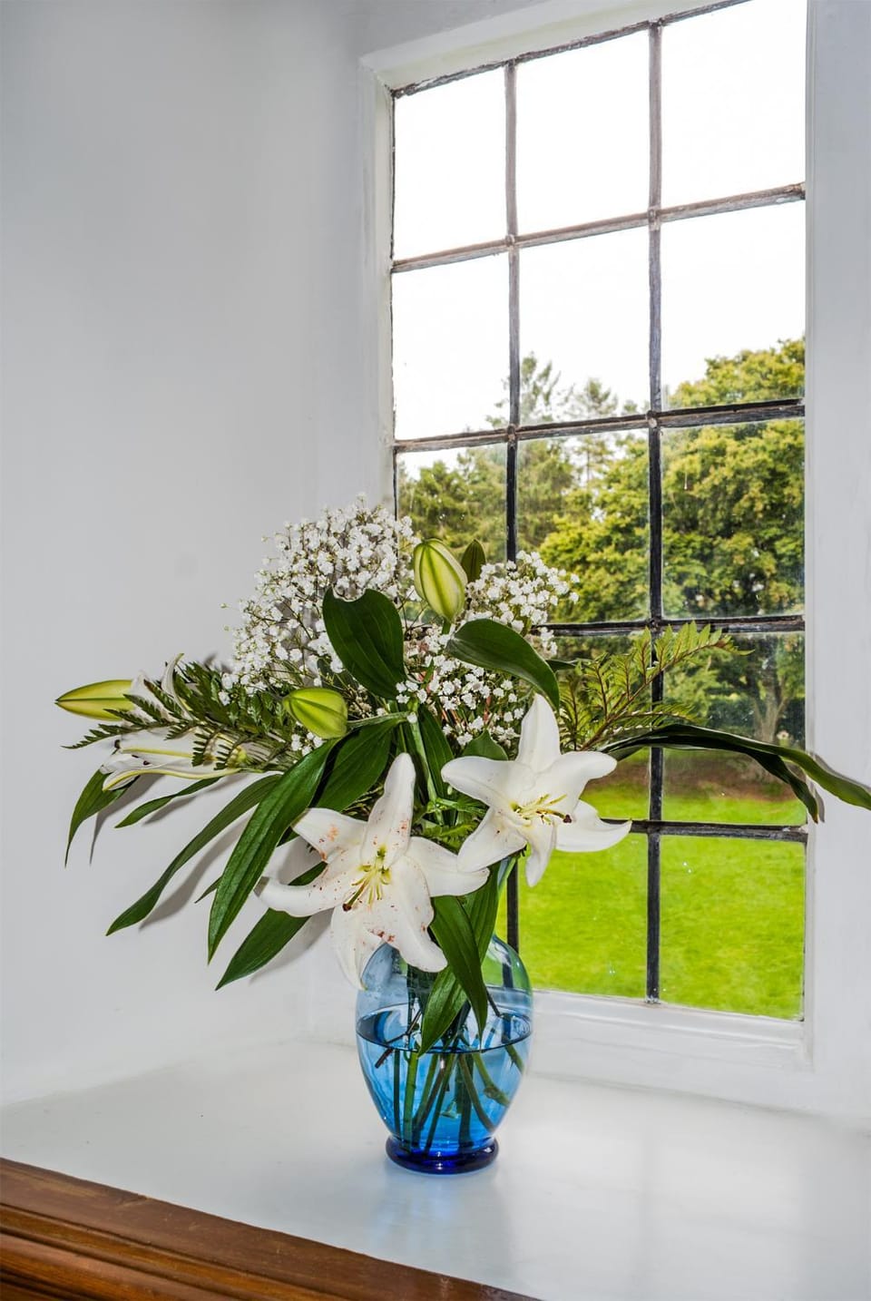 Garden view