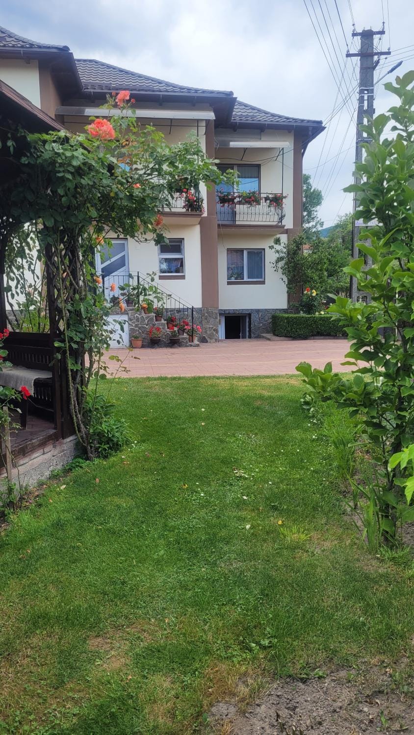 Pensiunea Diana Bed and Breakfast in Romania