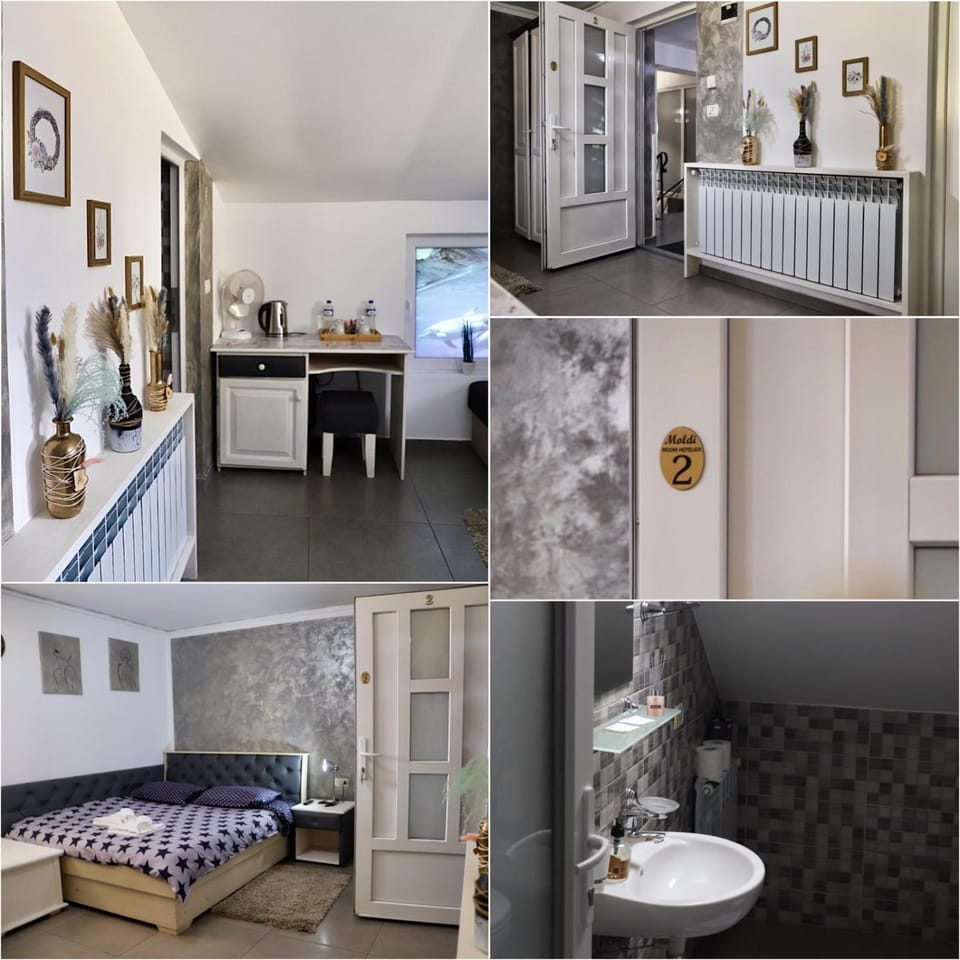 Cazare MOLDI - regim hotelier Hotel in Romania