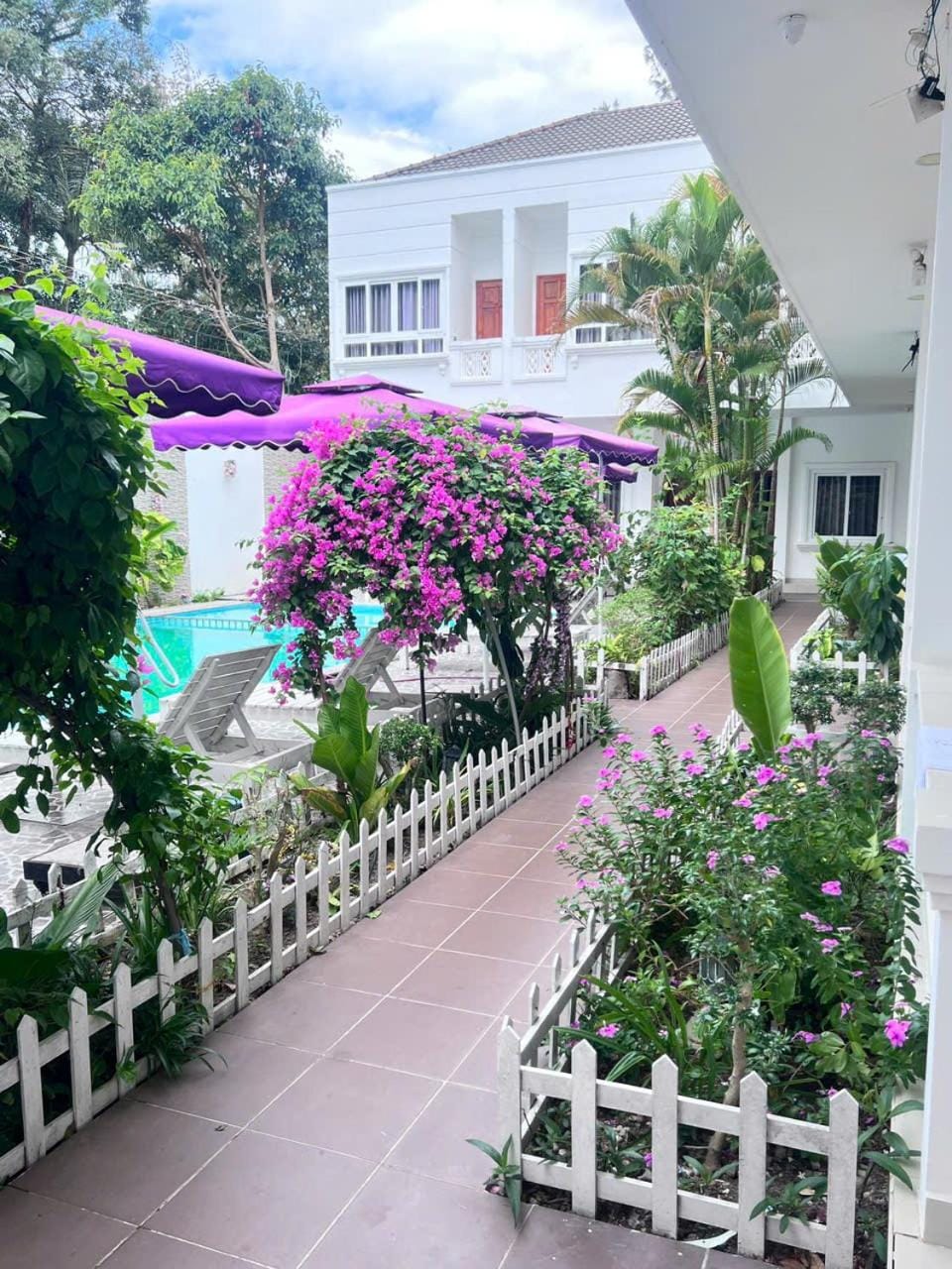 Garden, Inner courtyard view
