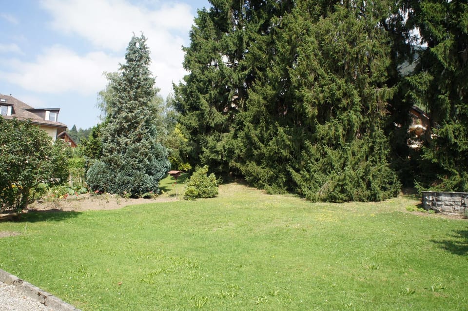 Hotel de Bahyse Inn in Montreux
