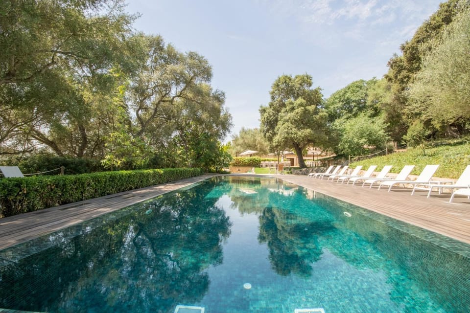 Day, Natural landscape, Garden, Garden view, Pool view, Swimming pool, sunbed