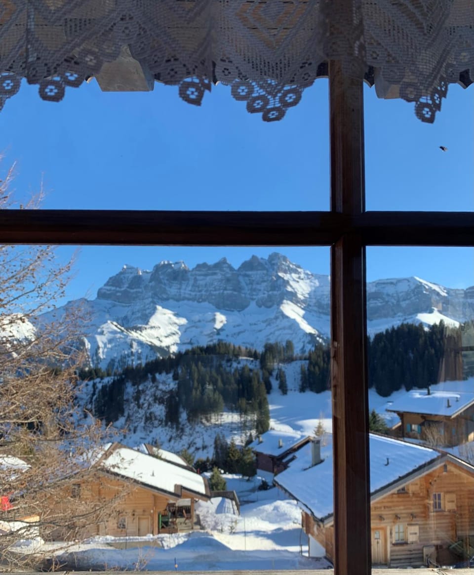 Winter, Mountain view