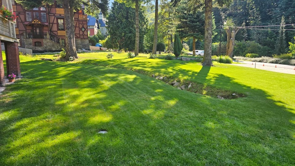 Property building, Day, Natural landscape, Garden, Garden view