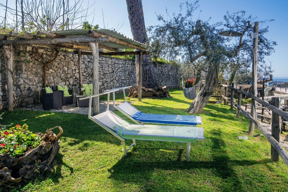 Day, Natural landscape, Garden, Garden view, sunbed
