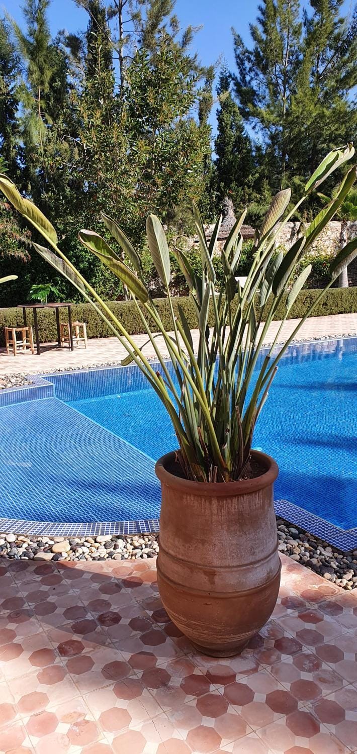La Maison des Ailleurs Vacation rental in Marrakesh-Safi