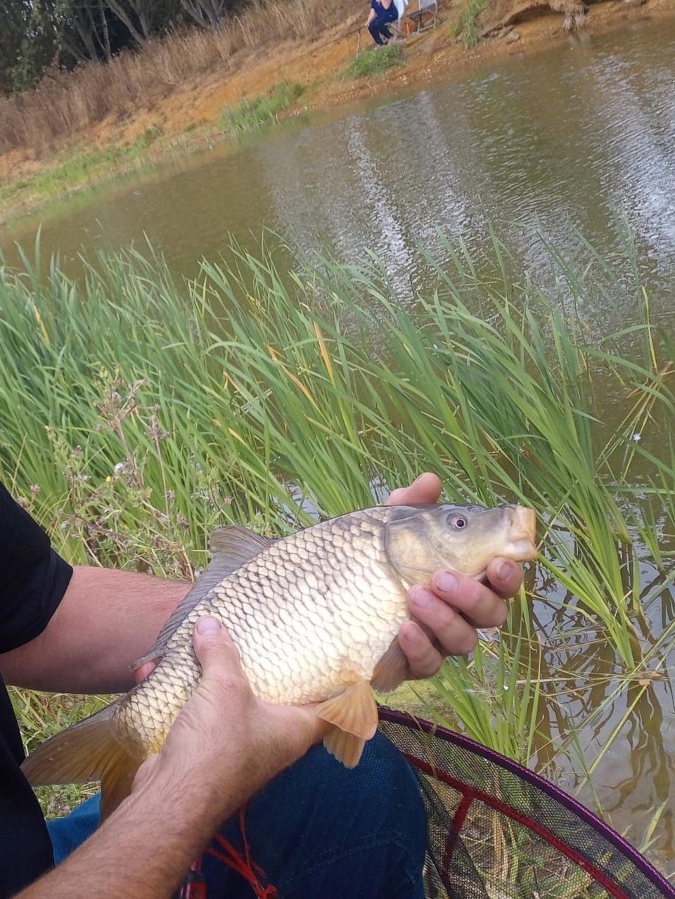 Fishing, On site, Lake view